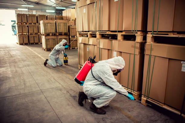 Best Affordable Pest Control Services  in Covington, LA