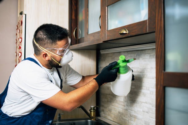 Best Pest Removal Services  in Covington, LA