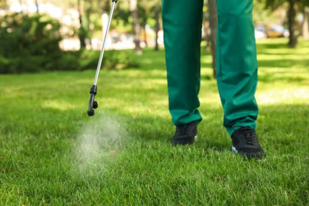 Best Pest Control for Businesses  in Covington, LA