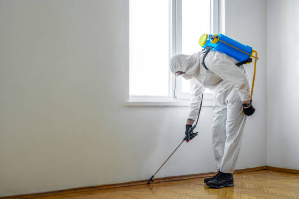 Best Rat Extermination Near Me  in Covington, LA