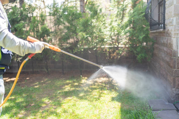 Best Residential Pest Control  in Covington, LA