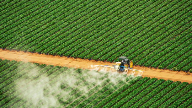 Pest Prevention Services in Covington, LA