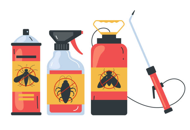 Best Spider Control Near Me  in Covington, LA