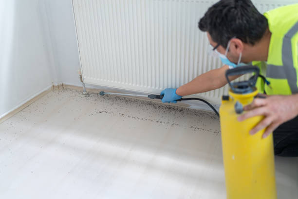 Best Bed Bug Extermination  in Covington, LA