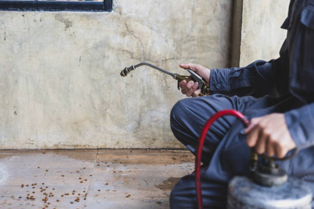Best Affordable Pest Control Services  in Covington, LA