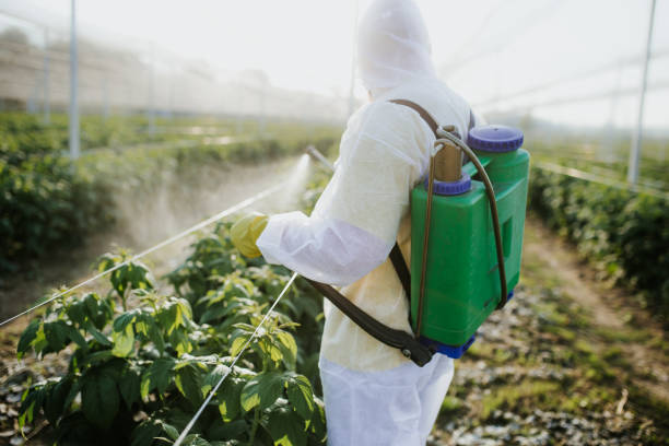 Best Pest Control for Businesses  in Covington, LA